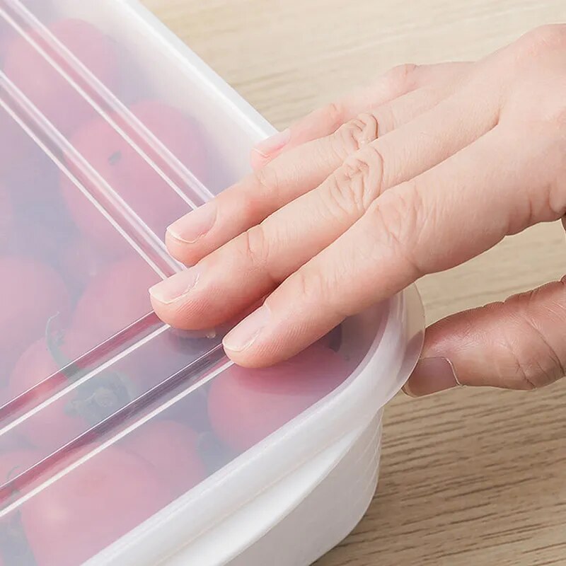 Japanese Style Refrigerator Scale Fresh Keeping Box Kitchen Food Fruit Meat Freezing Organizer Container Storage Box Leak Proof