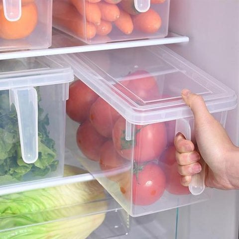Anti-Bacterial Food Storage Bins